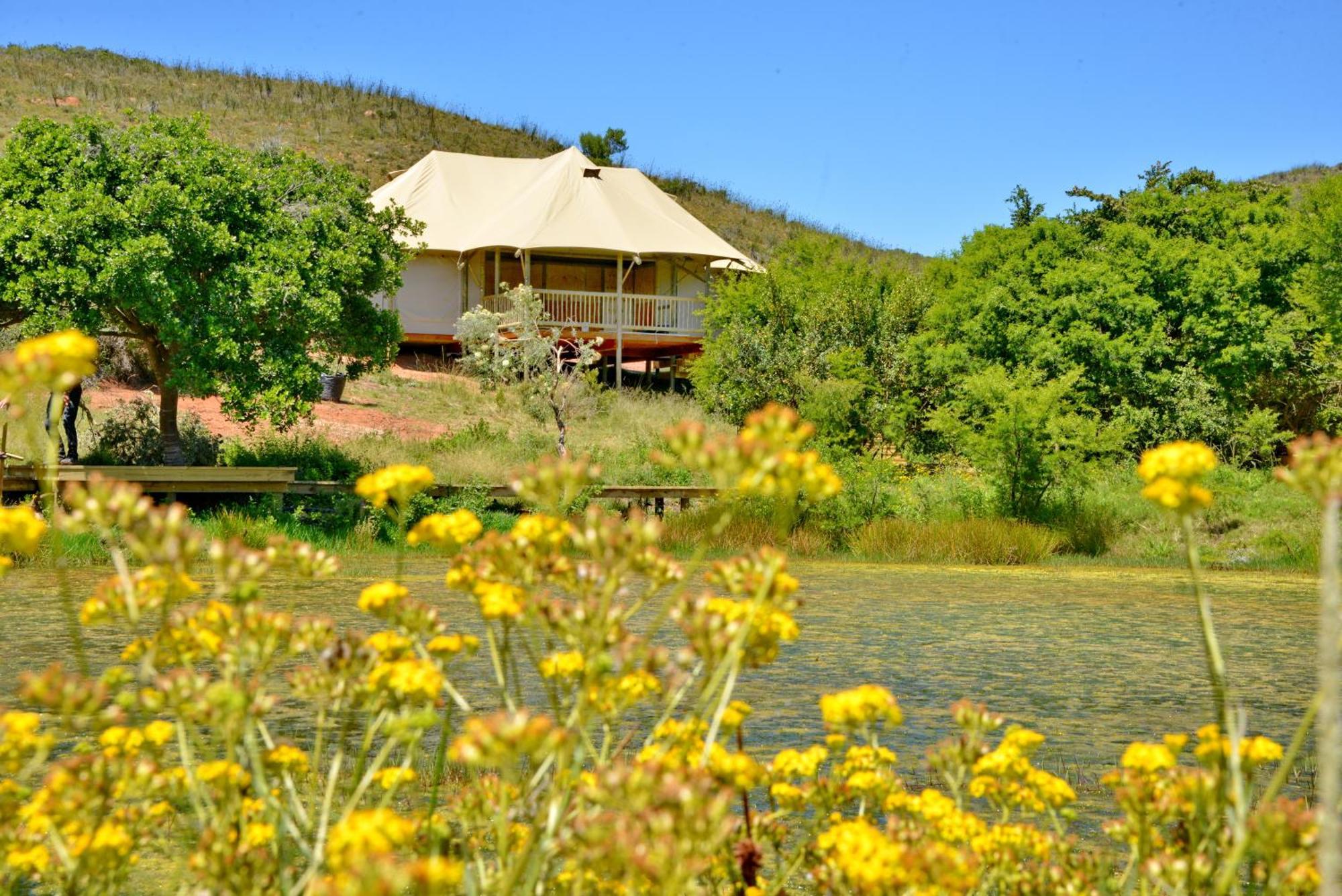 Garden Route Safari Camp Hotel Mossel Bay Luaran gambar